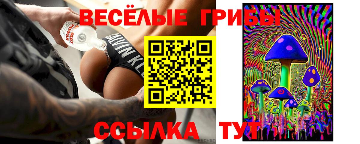 Саранск  где можно купить   Вход с VPN  Галлюциногенные грибы мицелий 