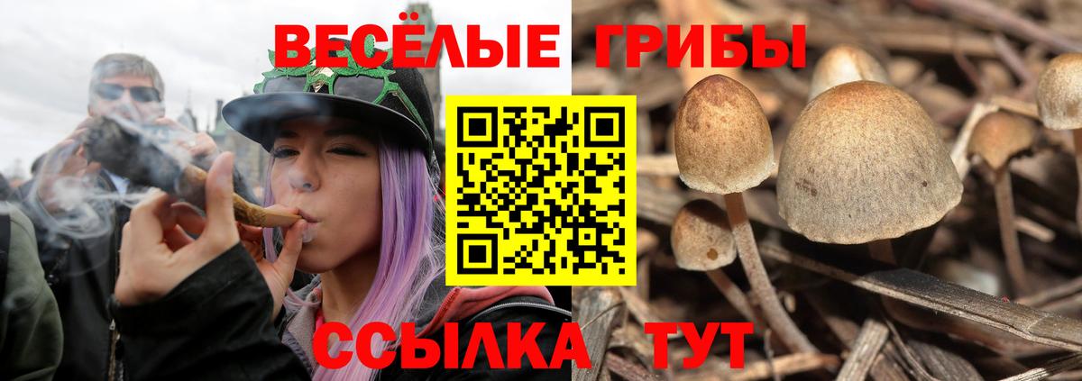 Галлюциногенные грибы мухоморы Саранск